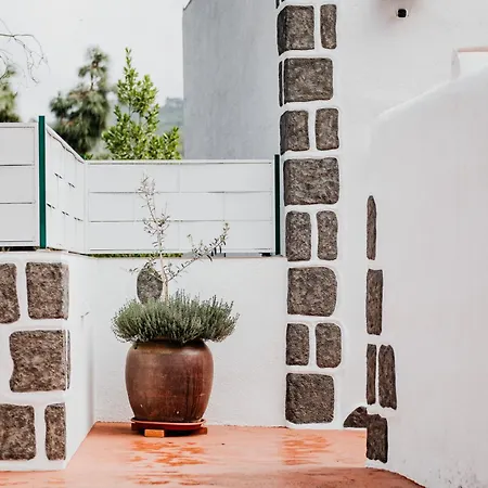 Kiko 2 איקוד דה לוס וינוס