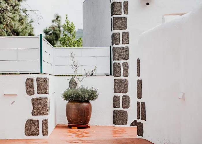 Kiko 2 Icod De Los Vinos