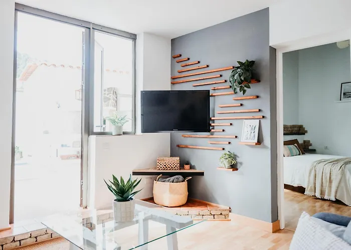 Kiko 2 伊科德·德·洛斯·维诺斯